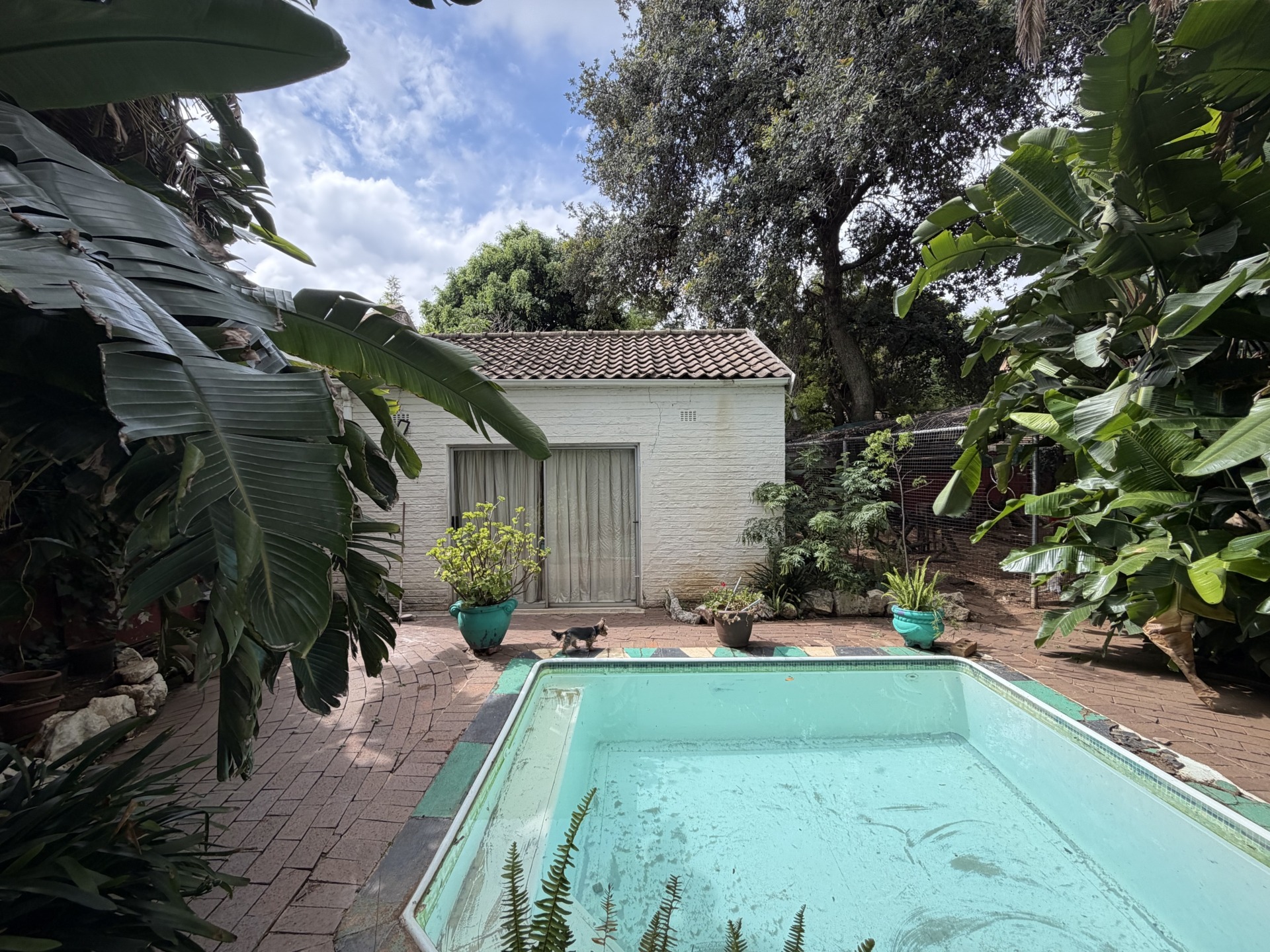 Rosebank / Parktown North