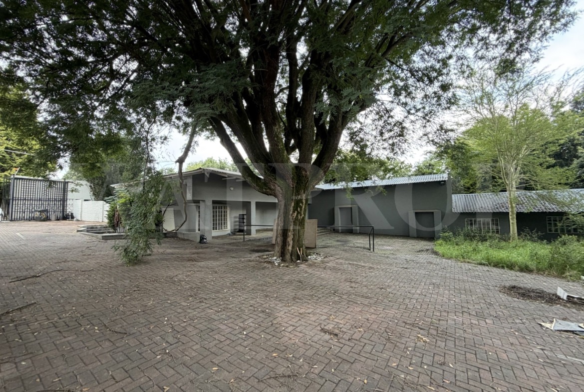 Rosebank