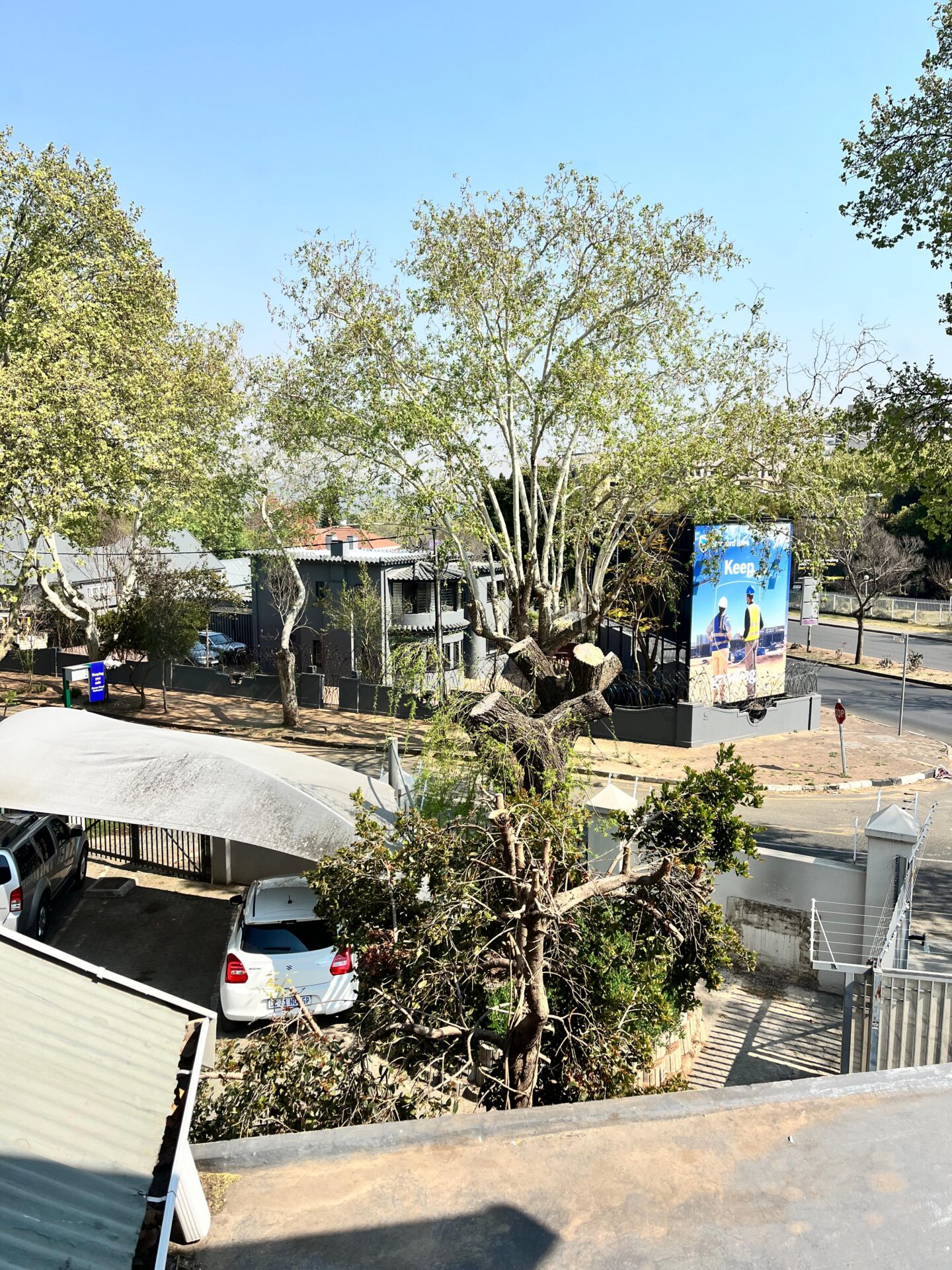 Rosebank